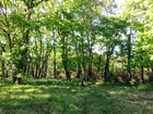 vente terrain   Villefranche-de-Lonchat 53 990€ 