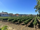 vente terrain   Vallon pont d arc  242 000€ 