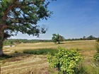 vente maison/villa  T18 La Roche-Chalais  395 000€ 