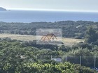 vente appartement  T3 Lumio  285 000€ 