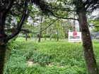 vente terrain   Hardelot Plage  365 000€ 