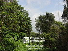 vente terrain   Les Trois-Îlets  230 000€ 