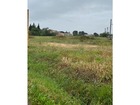 vente terrain   Paraza 88 900€ 