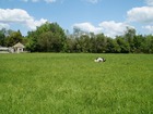 vente terrain   Taupont  131 750€ 