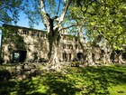 vente Propri&eacute;t&eacute;  T15 Saint-Rémy-de-Provence 2 835 000€ 
