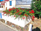vente Appartement  T2 Cerbere  128 000€ 