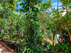 vente maison/villa  T5 Banyuls sur mer  160 000€ 