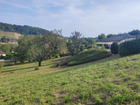 vente terrain   Vaux-en-Bugey  167 000€ 