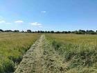 vente terrain   Saint-Loubès 30 000€ 
