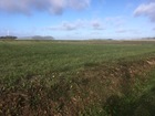 vente terrain neuf  MORTEMER 40 000€ 