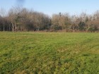 vente terrain   CHATILLON SUR LOIRE 23 182€ 