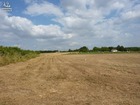 vente terrain   COURTEMAUX 24 200€ 