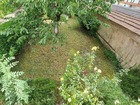 vente appartement  T3 WISSEMBOURG  