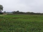 vente terrain   Saint-Maurice-sur-Fessard 56 000€ 