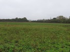 vente terrain   Saint-Maurice-sur-Fessard 51 500€ 