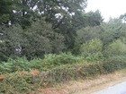 vente constructible   Cromac 19 000€ 