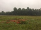 vente terrain neuf  TROSLY BREUIL 58 000€ 