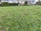 vente terrain   POULDREUZIC 34 500€ 