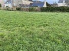 vente terrain   POULDREUZIC 50 775€ 