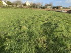 vente terrain   POULDREUZIC 26 700€ 