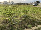 vente terrain   POULDREUZIC 37 875€ 