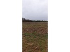 vente terrain   PAUCOURT 61 900€ 