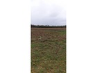 vente terrain   PAUCOURT 61 900€ 
