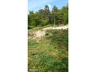 vente terrain   BOISSY LA RIVIERE  119 000€ 