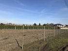 vente terrain   CHILLEURS AUX BOIS 47 200€ 