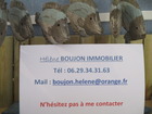 vente appartement   LE BARCARES  