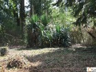 vente terrain   Vert en drouais 36 000€ 