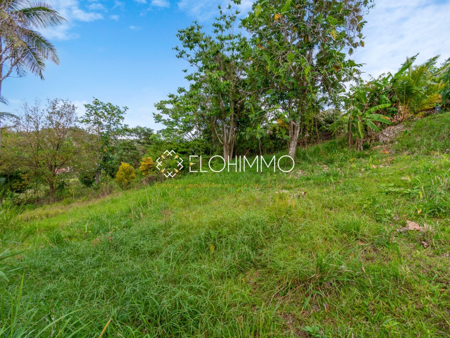 Immobilier RivièrePilote (972) annonces immobilières à RivièrePilote