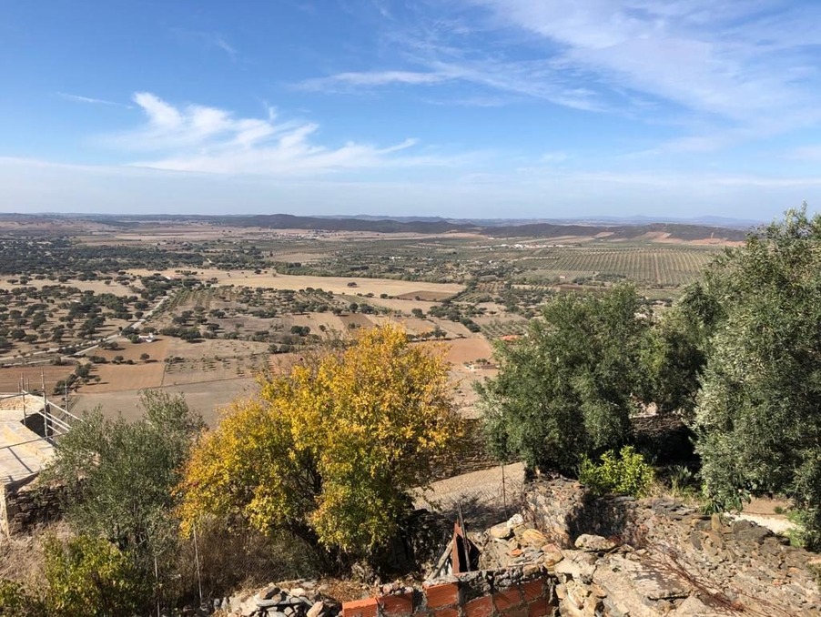Vente Maison/Villa TOULOUSE 31000 Haute Garonne FRANCE