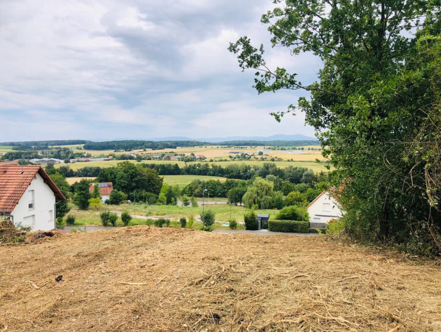 Vente Terrain ALTKIRCH 68130 Haut Rhin FRANCE