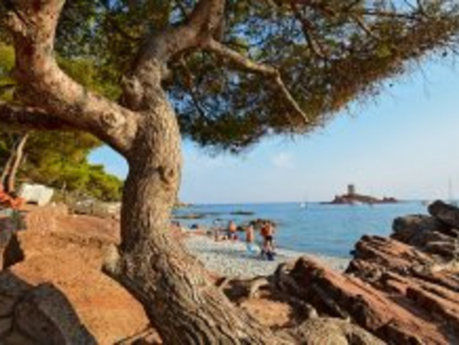 Vente Appartement SAINT-RAPHAEL 83700 Var FRANCE