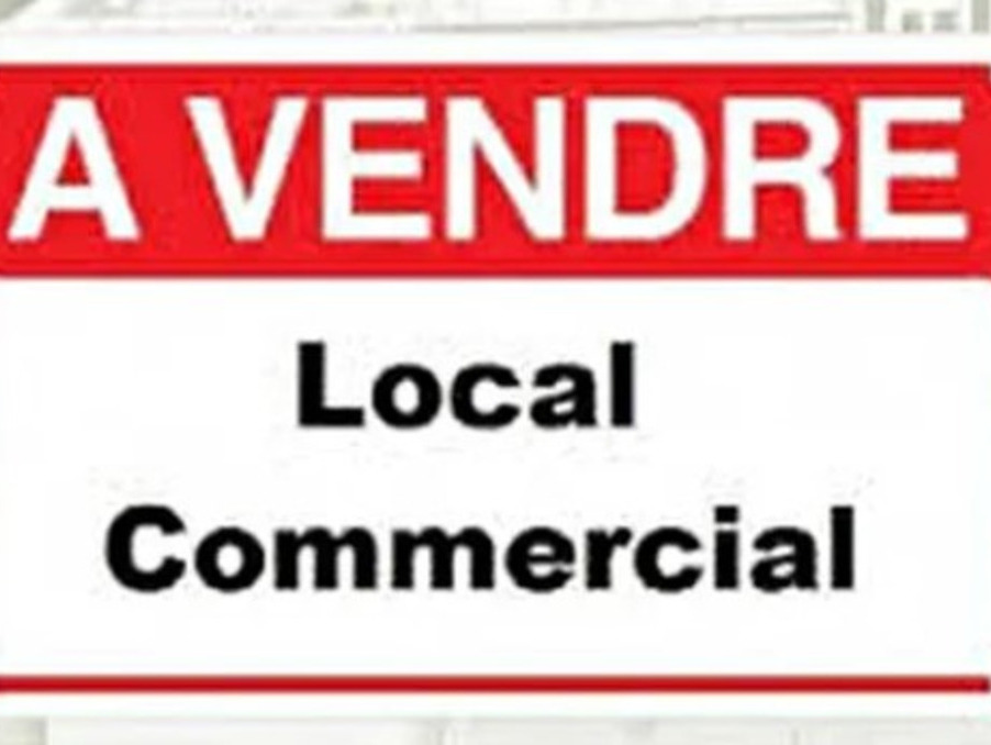 Vente Bureau/Local MOURENX 64150 Pyrenes Atlantiques FRANCE