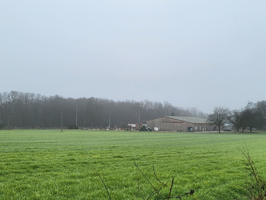 Vente Maison/Villa HAGUENAU 67500 Bas Rhin FRANCE