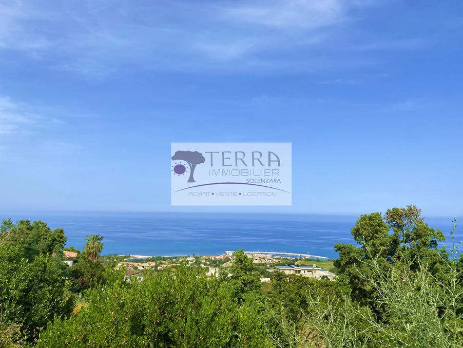 Vente Terrain SARI-SOLENZARA 20145 Corse FRANCE