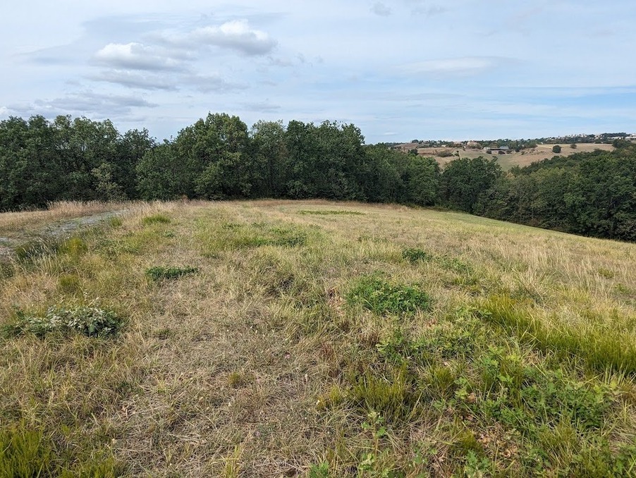 Vente Terrain ALBI 81000 Tarn FRANCE