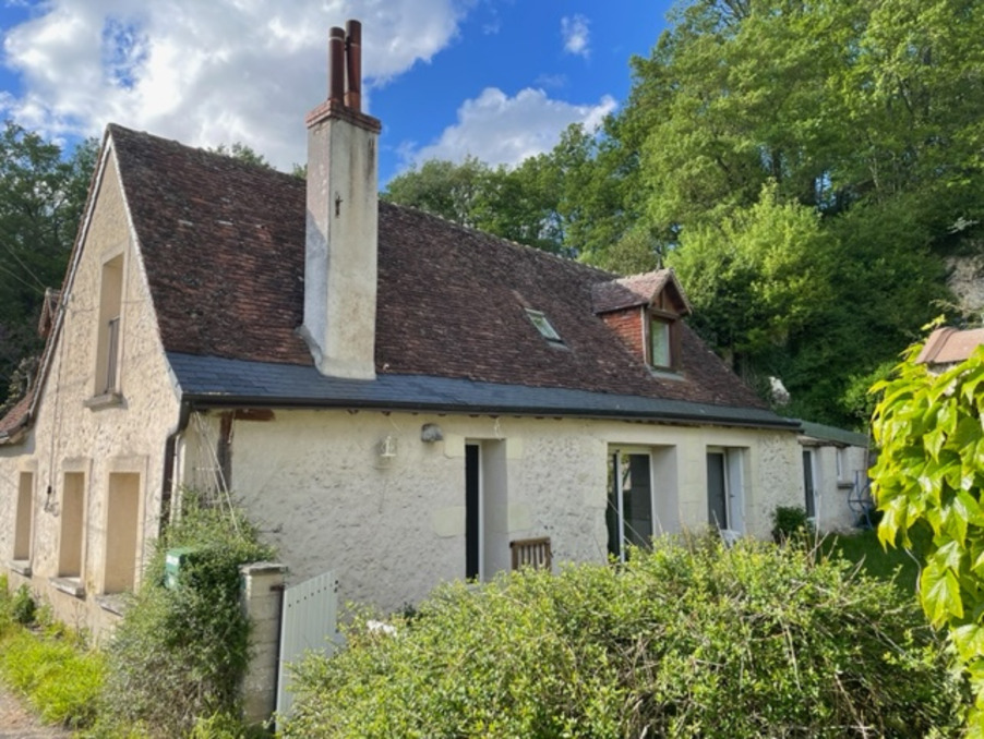Vente Maison/Villa VERNOU-SUR-BRENNE 37210 Indre et Loire FRANCE