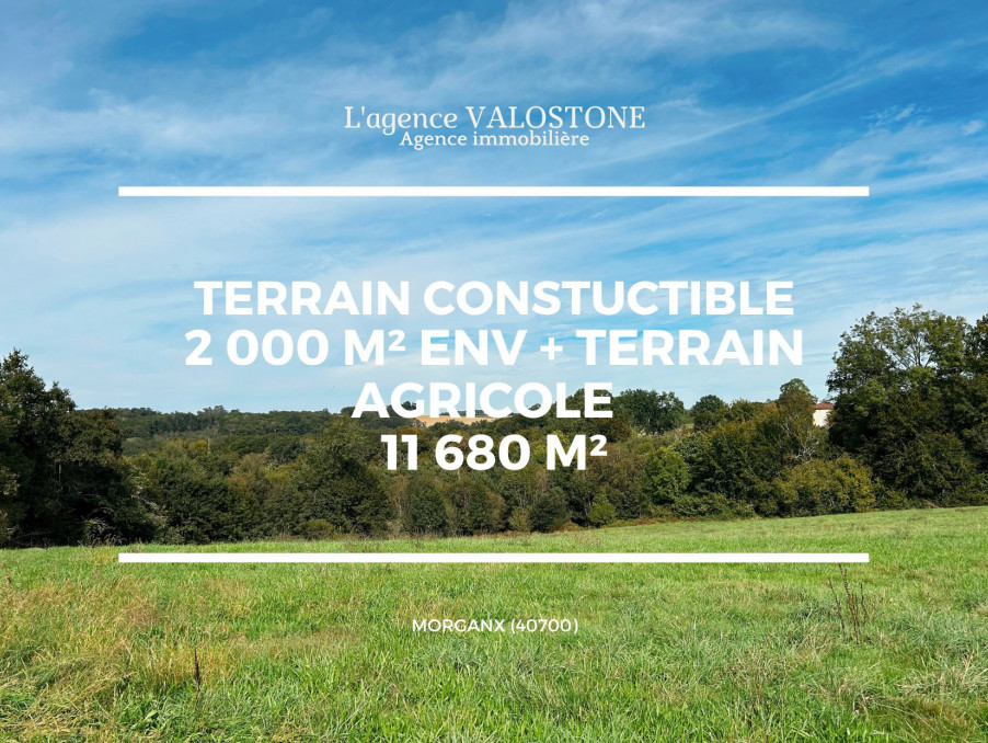 Vente Terrain MORGANX 40700 Landes FRANCE