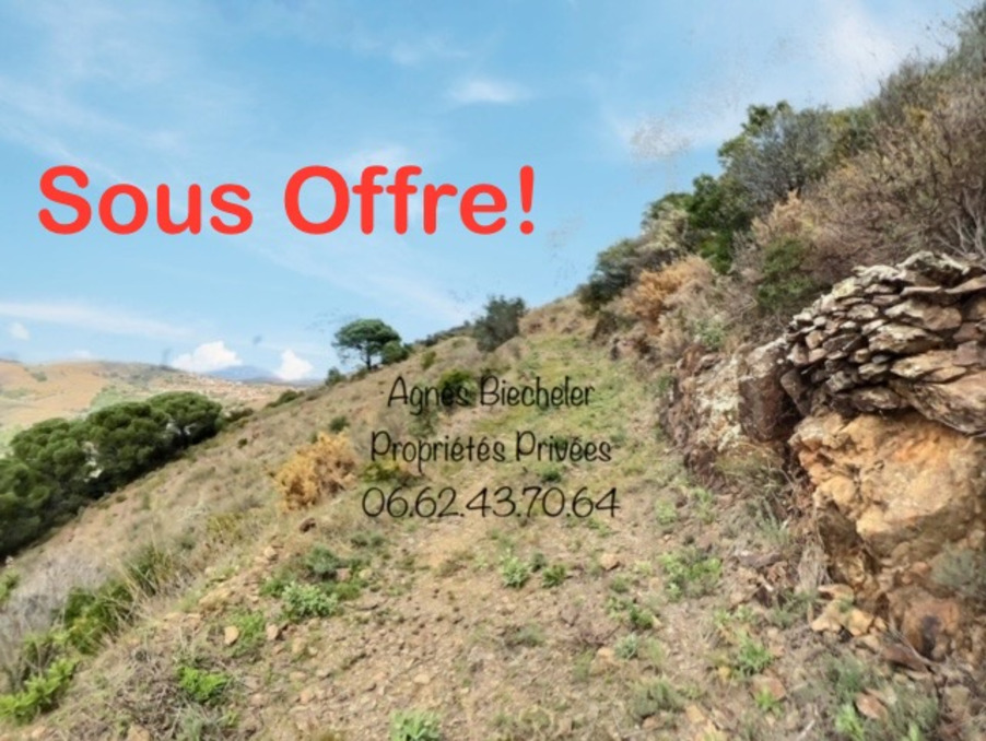 Vente Terrain BANYULS-SUR-MER 66650 Pyrenes orientales FRANCE