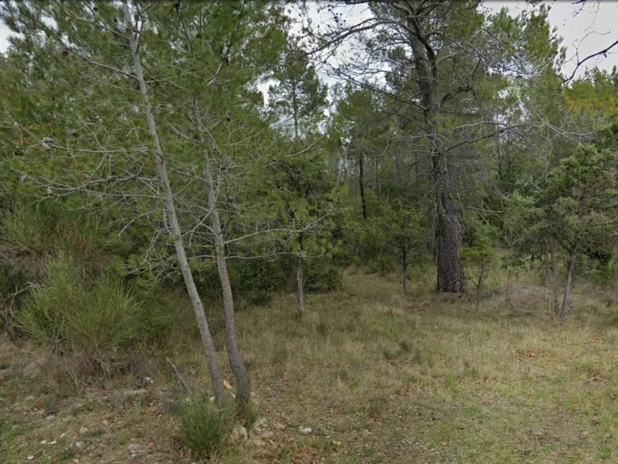 Vente&nbsp;Terrain&nbsp;TOURRETTES&nbsp;83440&nbsp;Var&nbsp;FRANCE