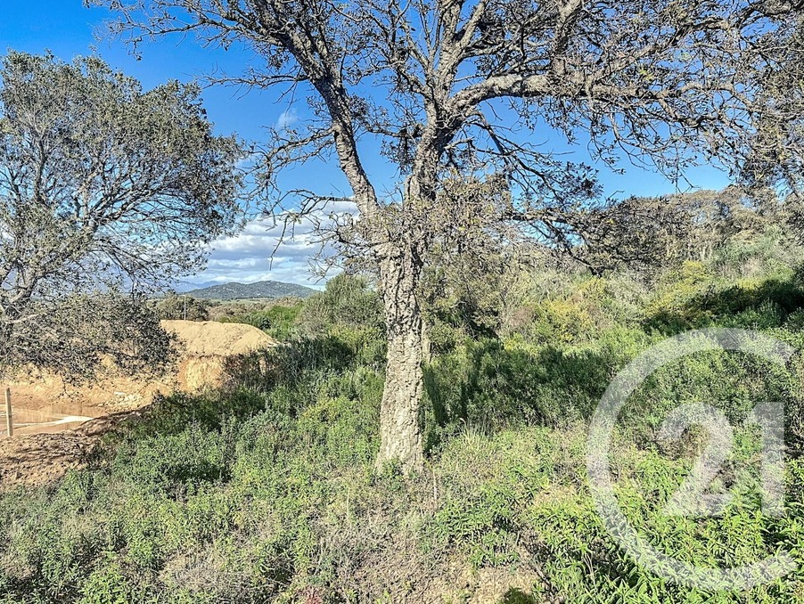 Vente&nbsp;Terrain&nbsp;PORTO VECCHIO&nbsp;20137&nbsp;Corse&nbsp;FRANCE