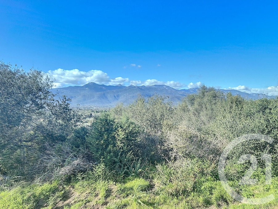 Vente&nbsp;Terrain&nbsp;PORTO VECCHIO&nbsp;20137&nbsp;Corse&nbsp;FRANCE