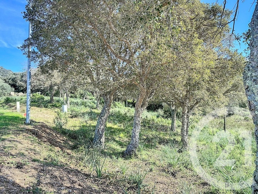 Vente Terrain PORTO VECCHIO 20137 Corse FRANCE