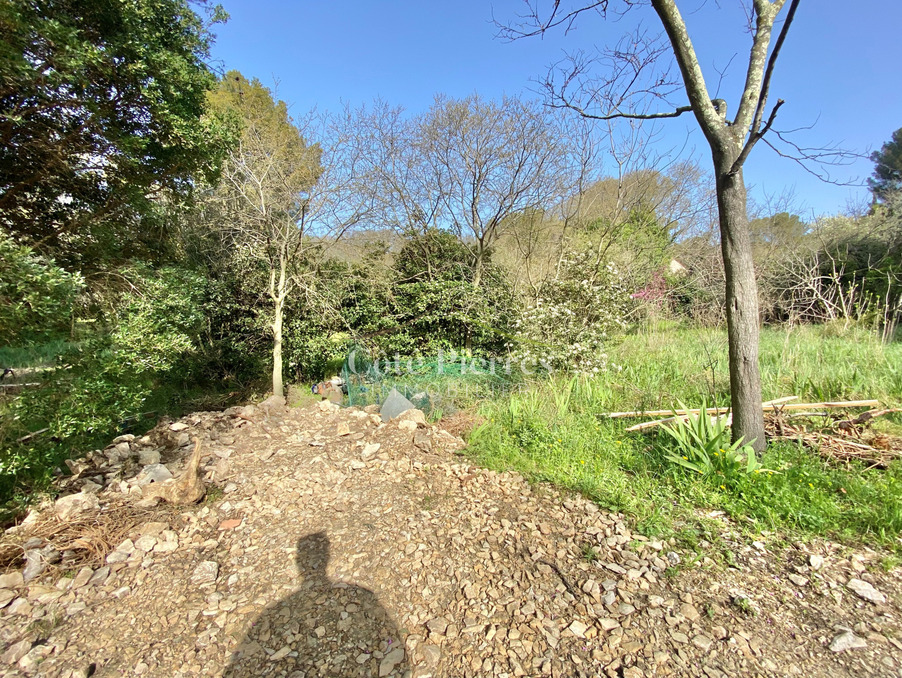 Vente&nbsp;Terrain&nbsp;NIMES&nbsp;30000&nbsp;Gard&nbsp;FRANCE